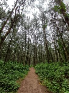 Read more about the article টান