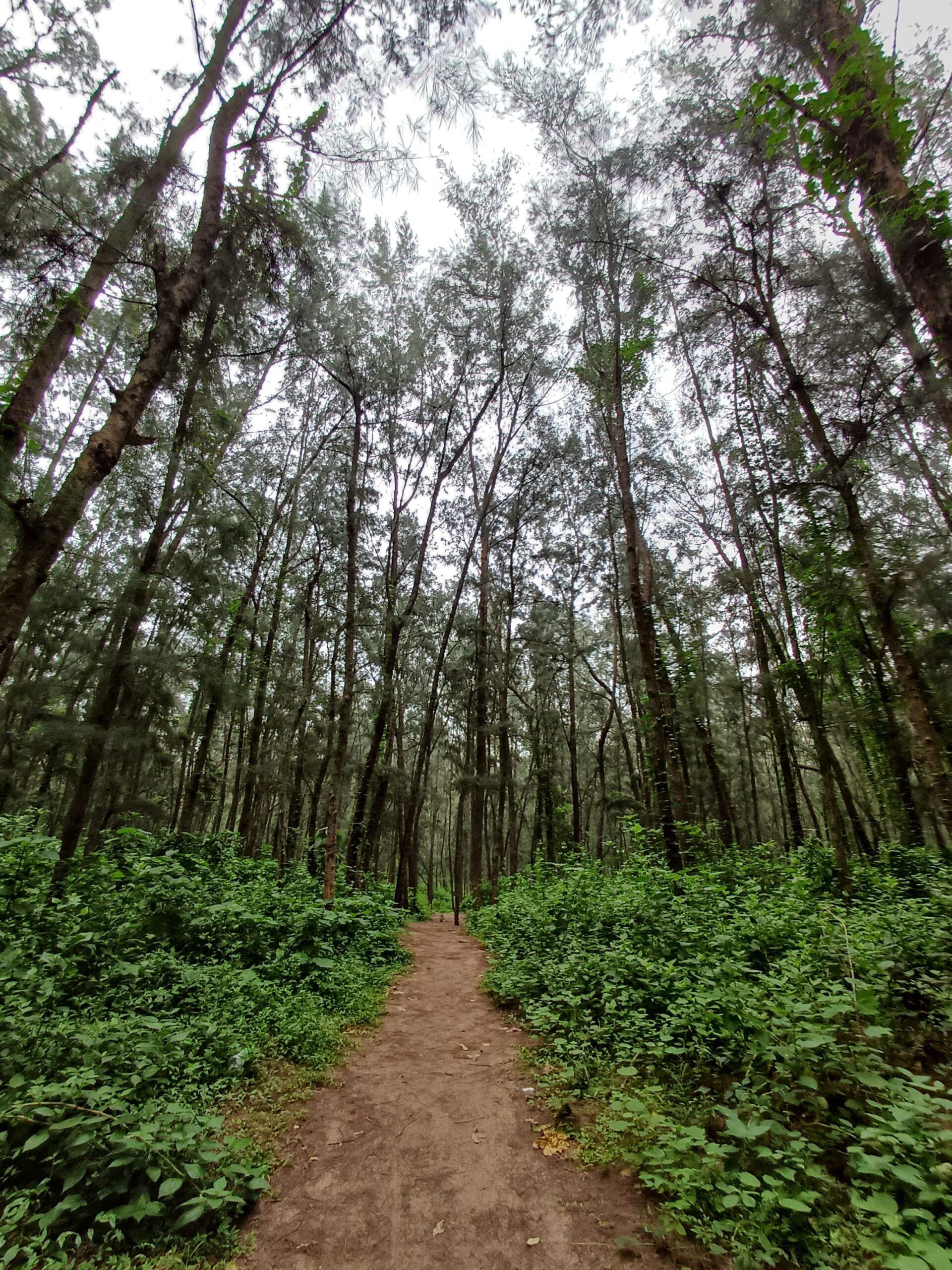 Read more about the article টান